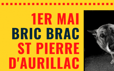 BRIC à BRAC